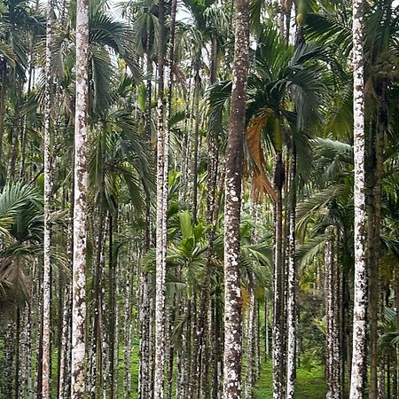 Max Farms Villa Shimoga Bagian luar foto