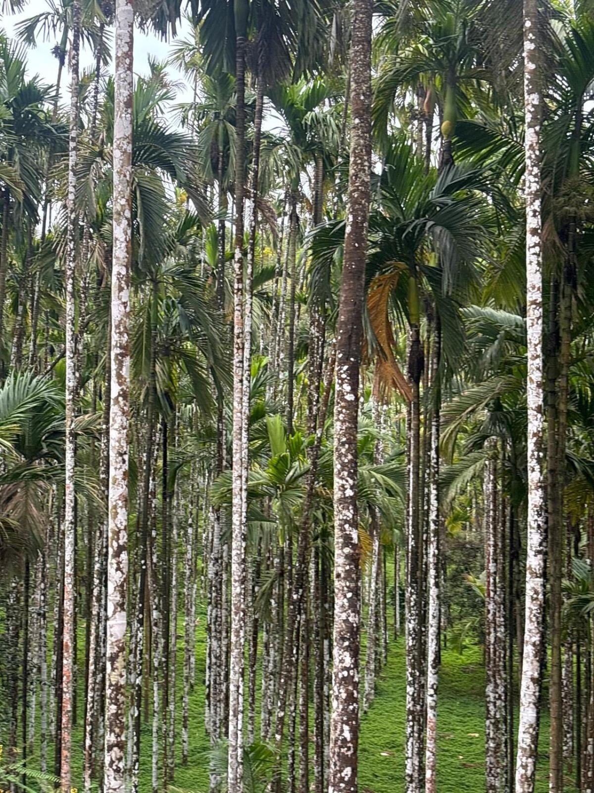 Max Farms Villa Shimoga Bagian luar foto